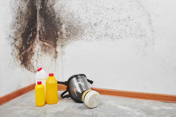 Best HVAC Mold Remediation in Lisbon Falls, ME