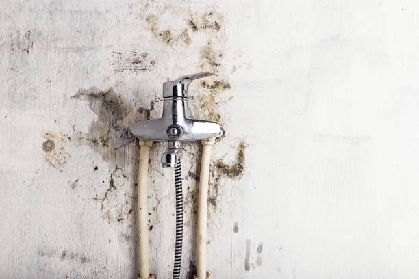 Best Mold Remediation for Specific Building Types in Lisbon Falls, ME