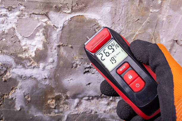 Best Industrial Mold Remediation in Lisbon Falls, ME