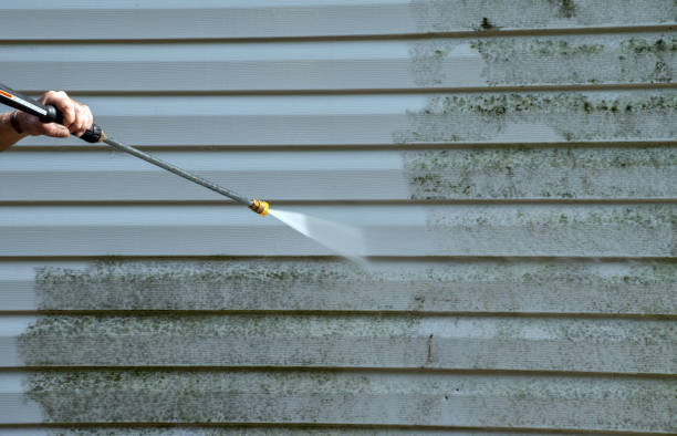 Professional Mold Remediation in Lisbon Falls, ME