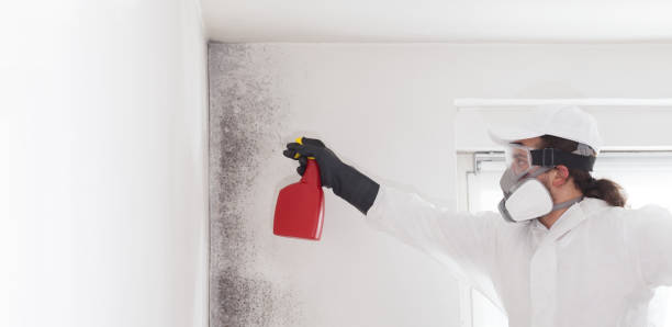 Best Mold Remediation for Schools in Lisbon Falls, ME